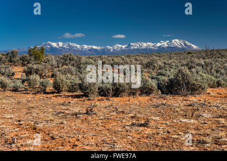 Il ginepro arbusti, nevato Abajo Mountains in distanza, all'inizio della primavera, porta le orecchie del Monumento Nazionale, vicino a Blanding, Utah, Stati Uniti d'America Foto Stock