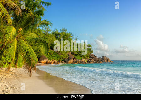 Paradisiaco anse georgette beach in seychelles Isola di Praslin Foto Stock