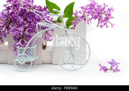 Piccola bianca decorativa bicicletta su uno sfondo di fiori viola lilla Foto Stock