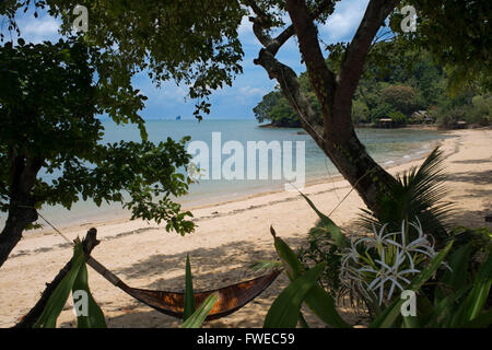 Una delle spiagge di Ko Yao Noi. Amaca su Paradise Beach. Isole Thai in Ao Phang-Nga il Parco Marino Nazionale, nell'Andam Foto Stock