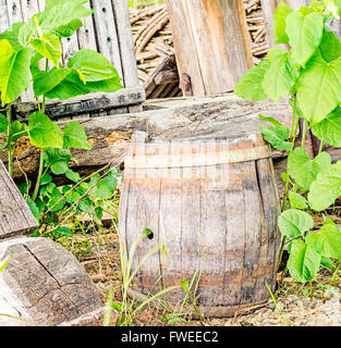Vecchio abbandonato Barile di legno usato per la conservazione del vino. Foto Stock
