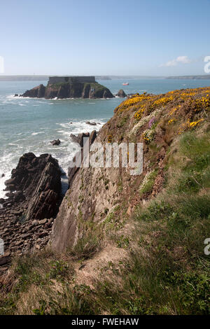 Thorn Isola, angolo di West Bay, Pembrokeshire, Galles Foto Stock