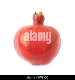 Melograno Punica granatum frutta Foto Stock
