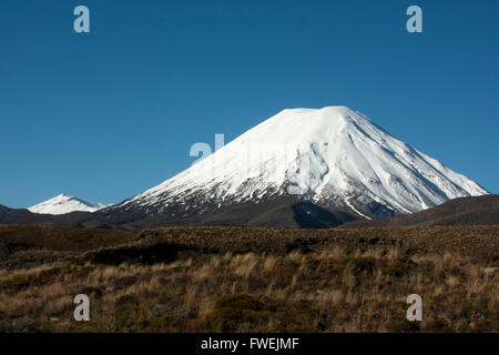 Imponente Ngauruhoe stratovulcano è il più giovane dei vulcani attivi nel Parco Nazionale di Tongariro in Nuova Zelanda. Foto Stock