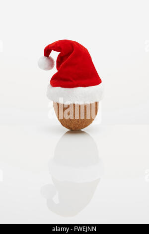 Noce di cocco con cappello di Natale Foto Stock