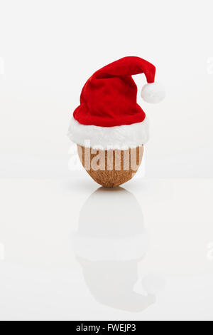 Noce di cocco con cappello di Natale Foto Stock