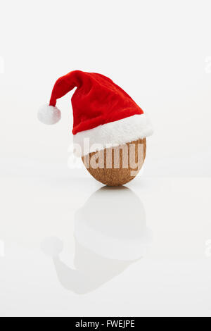 Noce di cocco con cappello di Natale Foto Stock