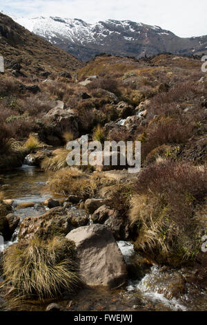 Dalle pendici occidentali del monte Tongariro Mangatepopo River è in esecuzione attraverso la Mangatepopo Valley in Nuova Zelanda. Foto Stock