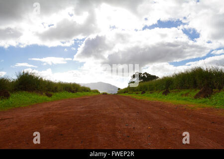 Un rosso sporco di roccia lavica strada di argilla si estende per un po' di distanza che conduce al parto pietre sulla North Shore di Oahu mi Foto Stock