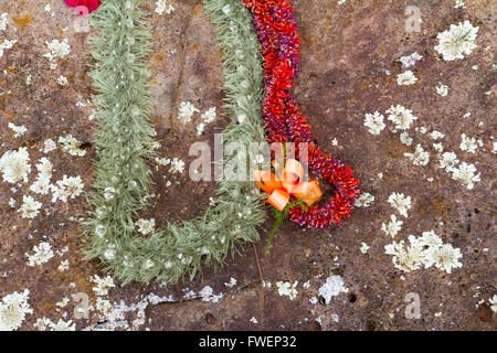 Questi bellissimi fiori leis sono state collocate sulle pietre del parto in Hawaii sulla North Shore di Oahu. Queste rocce storico Foto Stock