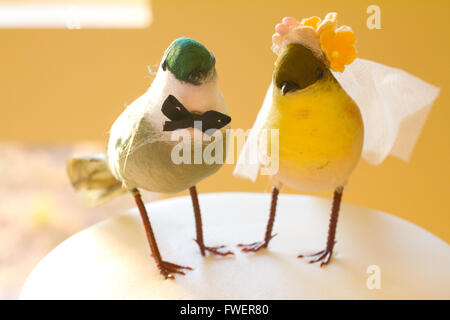 Mostra il dire "uccelli di una piuma stick insieme" questo cake topper ha due uccelli che rappresentano la sposa e lo sposo. Foto Stock