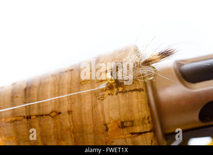 Isolato in uno studio con un sfondo bianco un Hares ear nymph in colori naturali è fotografato closeup contro il manico in sughero Foto Stock