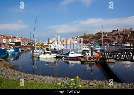 Whitby porto sulla costa dello Yorkshire visto dalla Marina su un bel giorno di inizio aprile Foto Stock