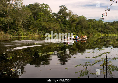 La foresta pluviale amazzonica: spedizione in barca lungo il fiume del Amazon vicino a Iquitos, Loreto, Perù. Navigazione uno dei tributari di th Foto Stock