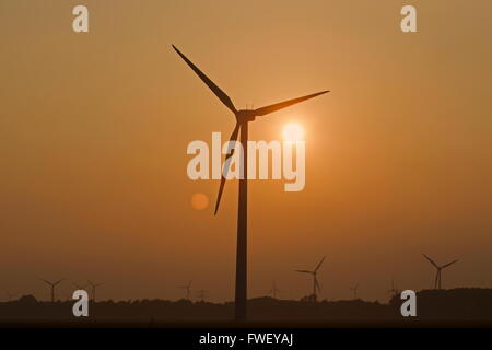 Lelystad, Paesi Bassi: mulini a vento e sole di setting, Paesi Bassi Foto Stock