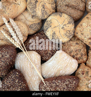 Pane sano roll assortimento con guaine di grano formando un abstract background. Foto Stock