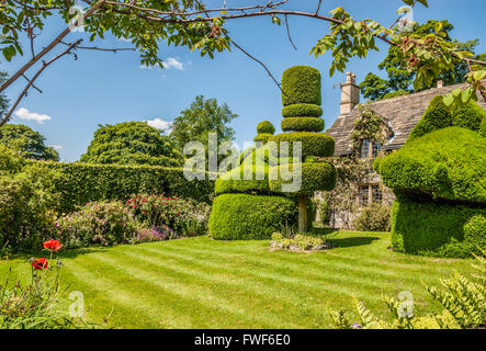 Boxtree giardino presso il Castello Normanno Haddon Hall vicino a Bakewell, Derbyshire, England, Regno Unito Foto Stock