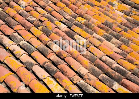 Il vecchio tetto spiovente piastrelle Canillas de Albaida Andalusia Spagna Foto Stock