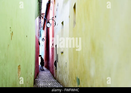 Corda Street o stringa Street, la strada più stretta in Transilvania della Città di Brasov e una delle strade più stretta in Europa Foto Stock