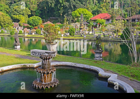 Bacino d'acqua, acqua tempio Tirta Gangga, Bali, Indonesia Foto Stock