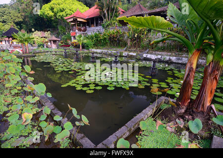 Bacino d'acqua, acqua tempio Tirta Gangga, Bali, Indonesia Foto Stock