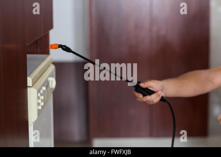 Immagine ritagliata del lavoratore manuale tenendo l'irroratrice Foto Stock