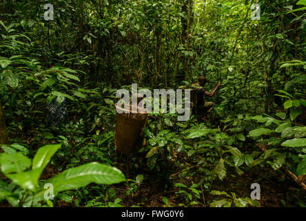 Pigmei Bayaka nella foresta pluviale Equatoriale, Repubblica Centrafricana, Africa Foto Stock