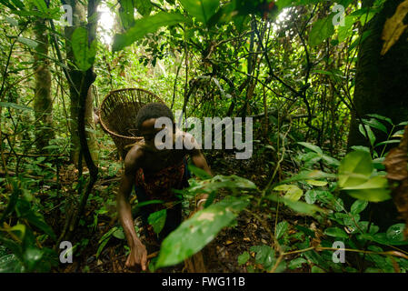 Pigmei Bayaka nella foresta pluviale Equatoriale, Repubblica Centrafricana, Africa Foto Stock