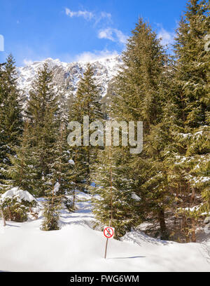 Nessun segno sconfinamenti sul palo di legno nella neve, foresta nei monti Tatra, Polonia. Foto Stock