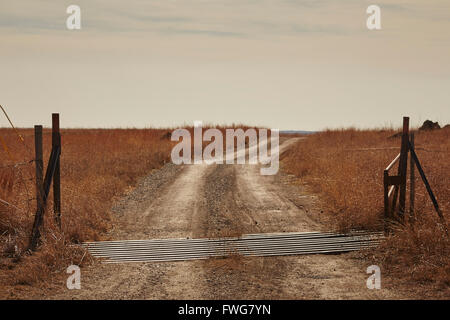 Ranch Road con una guardia del bestiame e cancello vicino Elk City, Oklahoma, Stati Uniti d'America Foto Stock