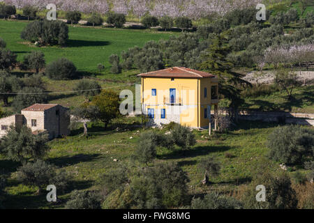 Panorama siciliano, con antica e moderna casa, con ulivi e mandorli in fiore. Foto Stock