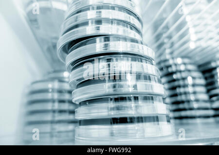 Capsule di Petri in frigorifero. Foto Stock