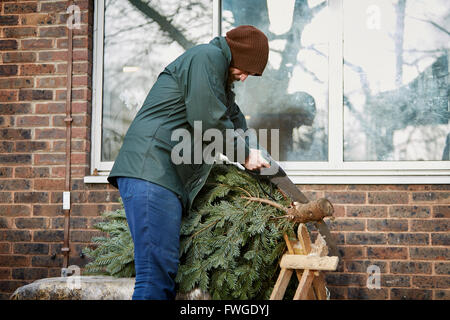 Un uomo la rifilatura del fine off di un tradizionale pino, albero di natale, utilizzando una sega a mano. Foto Stock