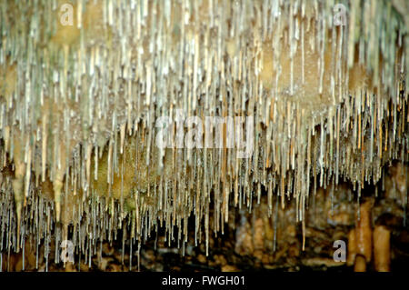 Le magnifiche e maestose grotte di Diros in Grecia. Foto Stock