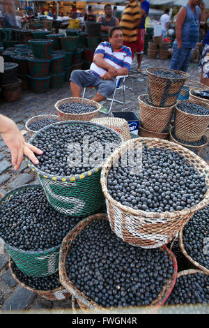 Acai bacche per la vendita nel mercato mattutino, Belem, Para, Brasile, Sud America Foto Stock