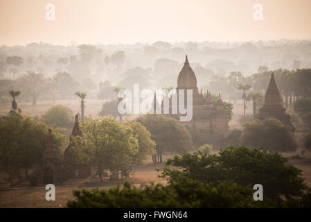 Sunrise presso i templi di Bagan (pagano), Myanmar (Birmania), Asia Foto Stock