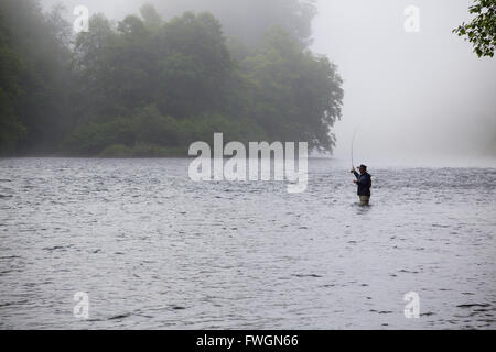 Un fly fisher sorge nell'acqua e proietta una linea fuori mentre cerca di catturare steelhead nel nord-ovest del pacifico. Questo volare fisherm Foto Stock