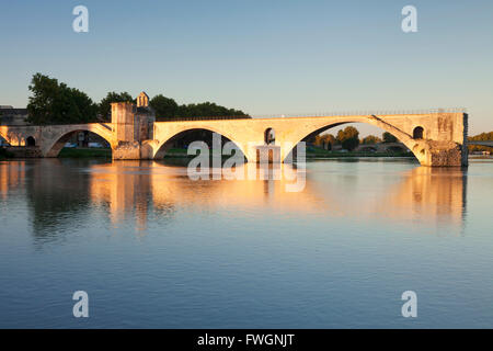 Ponte San Benezet oltre il Rodano a sunrise, UNESCO, Avignon Vaucluse, Provence-Alpes-Côte d'Azur, in Francia Foto Stock