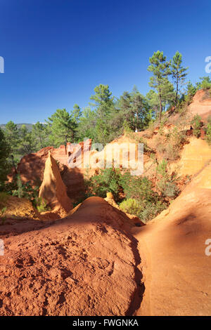 Les Sentiers des Ocres, rocce color ocra, Sentiero Natura, Roussillon Vaucluse, Provence-Alpes-Côte d'Azur, in Francia, in Europa Foto Stock