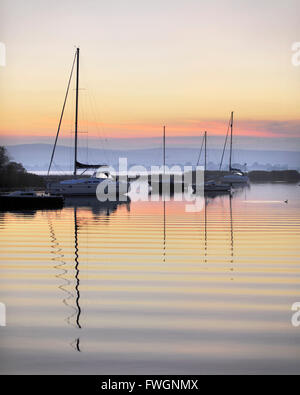 Yacht ormeggiati sul Lough Derg nelle prime ore del mattino, il fiume Shannon, Portumna, Co Galway, Repubblica di Irlanda, Europa Foto Stock