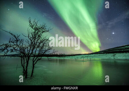 Aurora Boreale sulla laguna gelata di Jaegervatnet, Stortind, Alpi Lyngen, Troms, Lapponia, Norvegia, Scandinavia, Europa Foto Stock