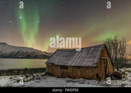 Le luci del nord si illumina la cabina in legno, Svensby, Alpi Lyngen, Troms, Lapponia, Norvegia, Scandinavia, Europa Foto Stock