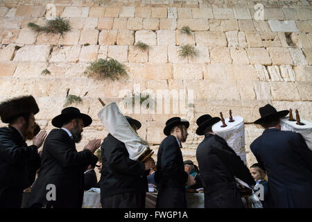 Gli ebrei ortodossi ballando con la Torah scrolls durante Simhat Torah festival, Muro Occidentale di Gerusalemme, città vecchia, Israele, Medio Oriente Foto Stock