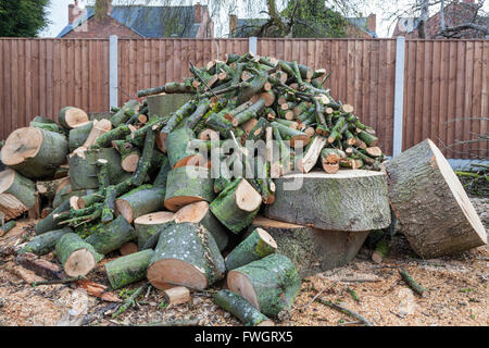 Pila di log. Pila di log da un albero abbattuto tagliata e segati fino in un giardino, England, Regno Unito Foto Stock