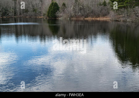 La superficie del lago Megunticook in Camden Maine con ondeggiano Gentle Waves e riflessi di alberi e cielo blu plus in foresta Foto Stock