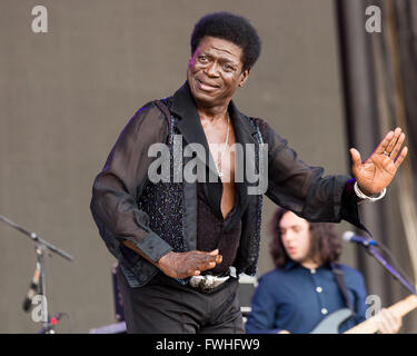 Manchester, Tennessee, Stati Uniti d'America. 12 Giugno, 2016. Il cantante CHARLES BRADLEY suona dal vivo al grande parco dello stadio durante Bonnaroo Music e Arts Festival di Manchester, Tennessee Credito: Daniel DeSlover/ZUMA filo/Alamy Live News Foto Stock