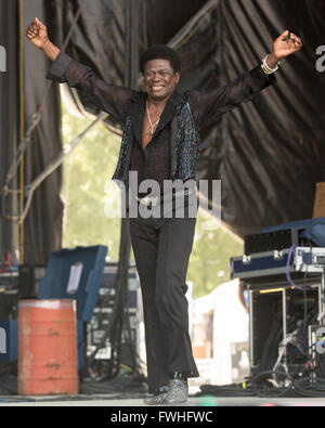 Manchester, Tennessee, Stati Uniti d'America. 12 Giugno, 2016. Il cantante CHARLES BRADLEY suona dal vivo al grande parco dello stadio durante Bonnaroo Music e Arts Festival di Manchester, Tennessee Credito: Daniel DeSlover/ZUMA filo/Alamy Live News Foto Stock