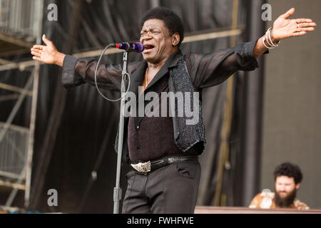 Manchester, Tennessee, Stati Uniti d'America. 12 Giugno, 2016. Il cantante CHARLES BRADLEY suona dal vivo al grande parco dello stadio durante Bonnaroo Music e Arts Festival di Manchester, Tennessee Credito: Daniel DeSlover/ZUMA filo/Alamy Live News Foto Stock