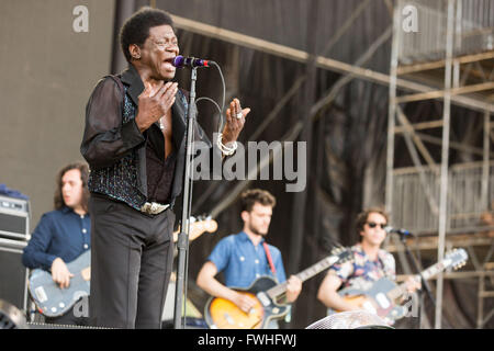 Manchester, Tennessee, Stati Uniti d'America. 12 Giugno, 2016. Il cantante CHARLES BRADLEY suona dal vivo al grande parco dello stadio durante Bonnaroo Music e Arts Festival di Manchester, Tennessee Credito: Daniel DeSlover/ZUMA filo/Alamy Live News Foto Stock