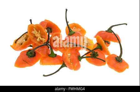 Fette di arancia habanero peppers che mostra le cime e steli isolati su uno sfondo bianco. Foto Stock